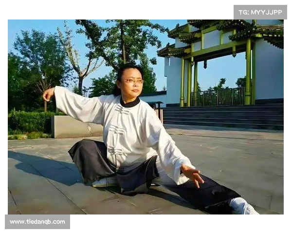 世界冠军柴云龙亲授:带你掌握太极拳的精髓 世界冠军柴云龙亲授:带你掌握太极拳的精髓